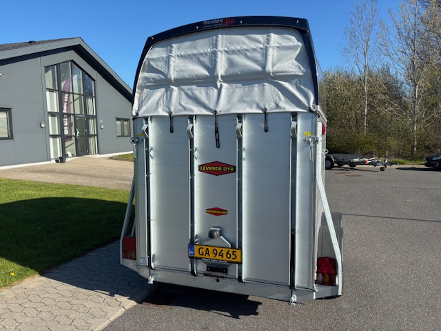 Hestetrailer til 2 heste m/sadeskab thumbnail 3